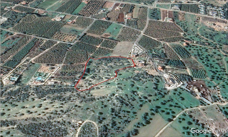 Agricultural Land in Peyia, Paphos